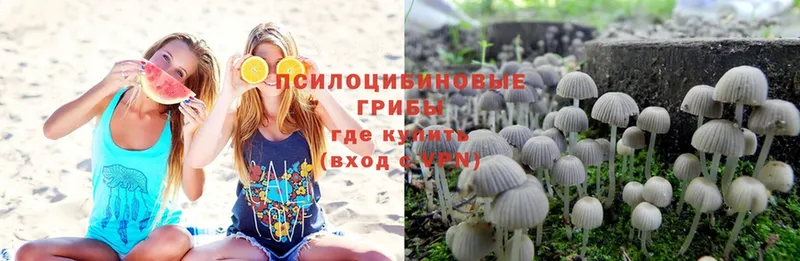 MEGA tor  Крым  Галлюциногенные грибы Psilocybe 